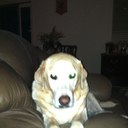 Pam Dore - @PamDore - Twitter