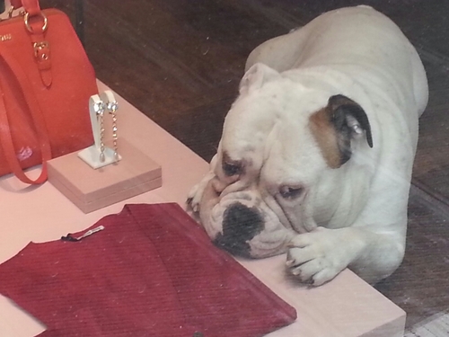 fatis012's profile picture. 