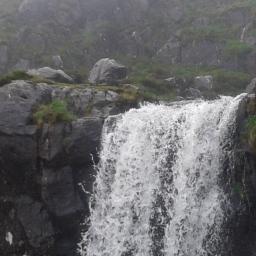 Fanta_azija's profile picture. man patīk ūdens... miermīlīgos apstākļos un kad to nelej par daudz