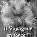 whitney weigel - @whitneyWeigel - Twitter