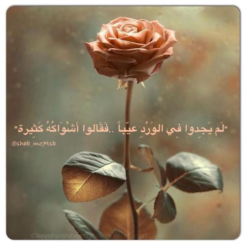 رحم الله رووحا أوجعني رحيلها😔 💔💔