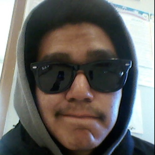 misngaur Profile Picture