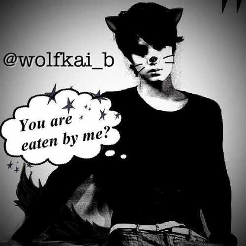 @wolfkai_b