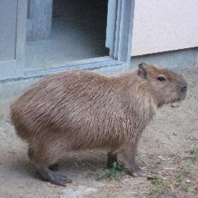 Ken Tana Res Img いいんだよまちがいはだれにでもあるんだそれを すなおにみとめることがたいせつなんだよ T Co Fdjclqhmgo