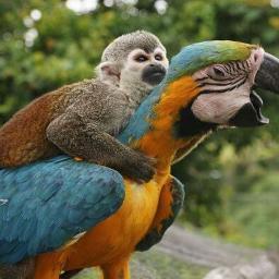 MaXLog22's profile picture. 