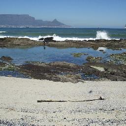 HenrietteNel's profile picture. 