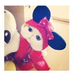 60Second_'s profile picture. 