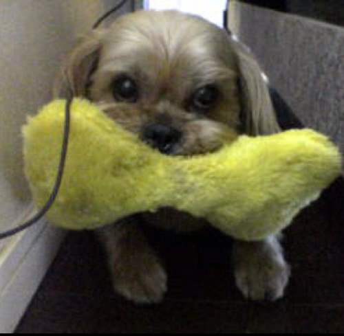 AMI_r_405_'s profile picture. ダーツ、ビリヤード、ボーリング、映画、音楽、スポーツ、浅く広くな何でもやさ〜ん。