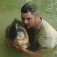 Grant (@ghurding) 's Twitter Profile