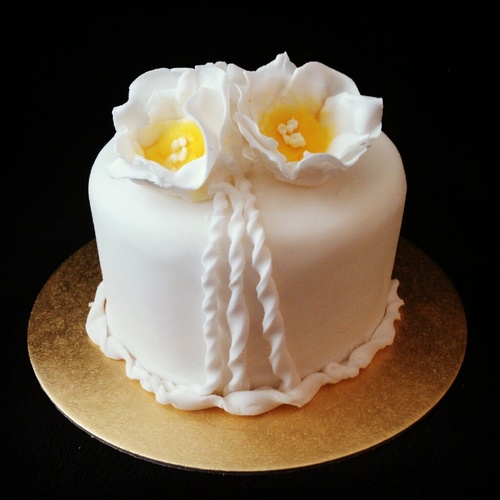 mmcakeland's profile picture. 