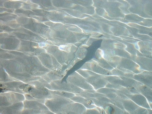 USCharterSupply's profile picture. 