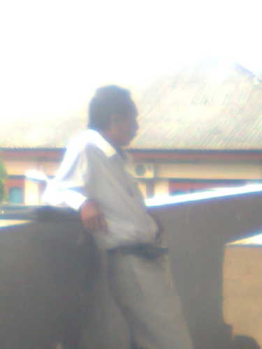 kolok