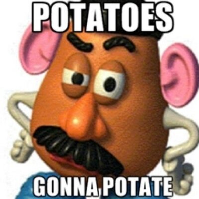 gay potato head gay male escort services