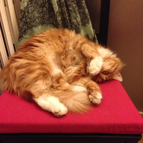 techfree2013's profile picture. 