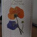 Sandra Beale - @raindropsnail - Twitter