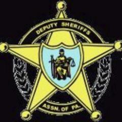 The DSAP was formed in 1975 to aid in the process of meeting education requirements and improving the societal relationships of Deputy Sheriffs'.
