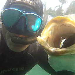 Block Island Spearfishing Charter