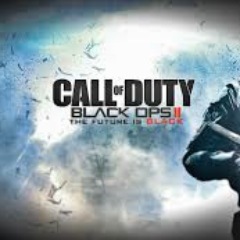 14 year old gamer who loves making CoD videos!