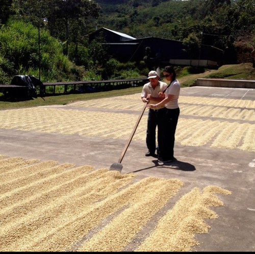 danadane24805's profile picture. Love ☕ coffee , travels ✈, and clean eating !