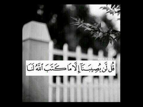ربي أرحمها واغفر لها واجعمها بأهلها بجناتك واجعل قبرها روضه من رياض جنتك♡