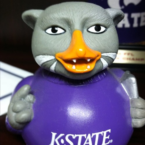 Purple_Casey_C's profile picture. 