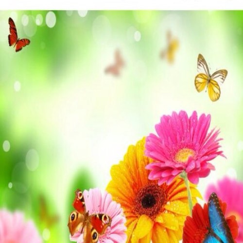 ‏(قل هو الله احد ۞ الله الصمد ۞ لم يلد ولم يولد ۞ ولم يكن له كفواً احد ) اشهد ان لا اله الا الله واشهد ان محمد رسول الله.سبحان الله وبحمده سبحان الله العظيم