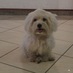 Donatella Galliano (@donatellatakeer) Twitter profile photo