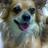 aska2024's profile image