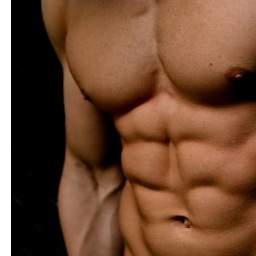 We're here to make your dream body your reality. Training plans, Diet Guides, Photos, Videos, and more for any and everybody. You don't have to do it alone.