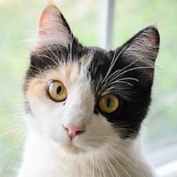 I AM RAGNAROK BRINGER OF THE APOCALYPSE. FEAR ME. And you can call my Roxy for short.