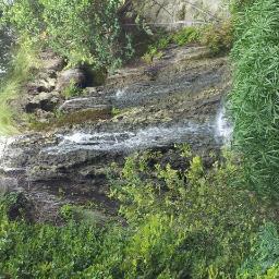 Andrew_Nairne's profile picture. 