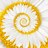 HeidiBirtwistle's profile image