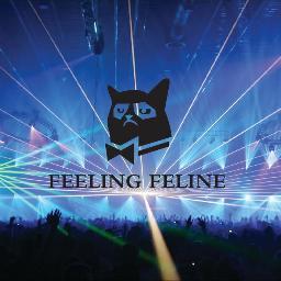 We're feline. Are you feeling feline? We hope so... 3 piece ukulele pop group. @nathtaylorblyth @matthrbfc @matt_boyton #feelingfeline