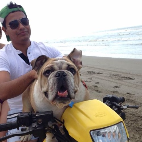 negricarrera's profile picture. 