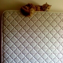 Deea Crisan - @AndreeaCrisan1 - Twitter