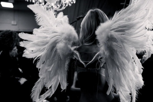 wearefallengels's profile picture. ∞ Ele a encontraria? Sem dúvidas. Ele a salvaria? Sempre. ∞ Fallengel, Walker and Directioner ∞†∞ Daniel and Luce ∞†∞ Till the end. ∞†∞