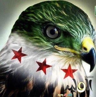 3podee's profile picture. 