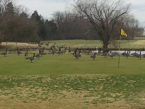 MorrisK1975's profile picture. 