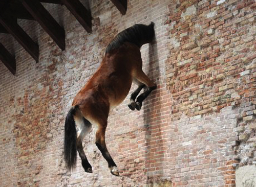 PomoneRichard's profile picture. 