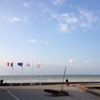 VeuleslesRoses (@veuleslesroses) 's Twitter Profile