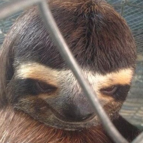 Joseph_WrawR's profile picture. 