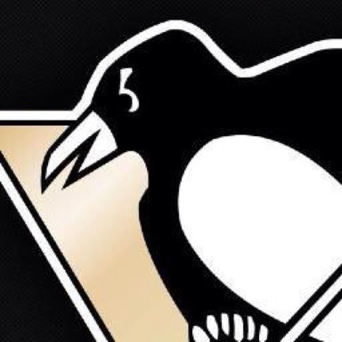 pengiuns_fans's profile picture. 