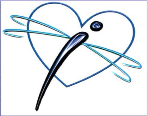 KEVSFoundation's profile picture. 