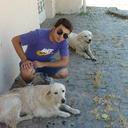 Stefano Nicoletti - @StefanoNicolett - Twitter