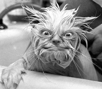 tools4's profile picture. 