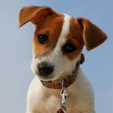 Zagreb_Polina's profile picture. Веселая Полина