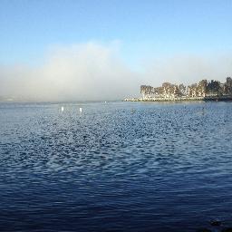 pegglanzer's profile picture. 