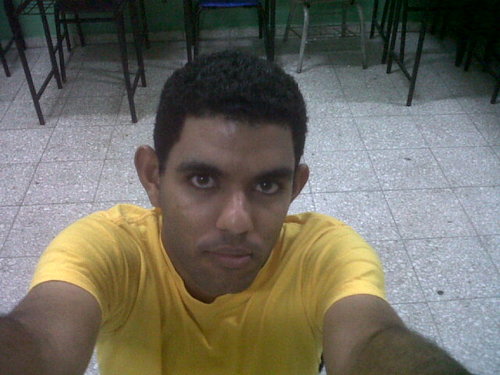 elvisrafaeltorr's profile picture. 