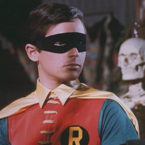 Holy sardine! I'm Batman's noble sidekick.