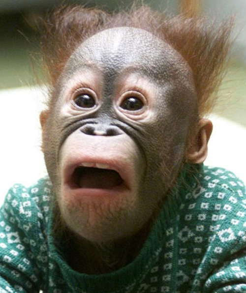 Spunky_1's profile picture. Wasting Away In Toiletville